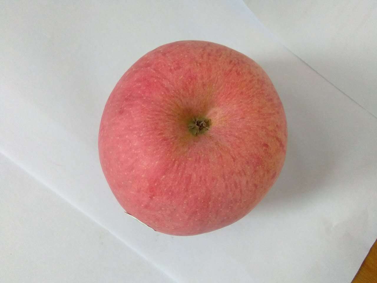 118100080574952795