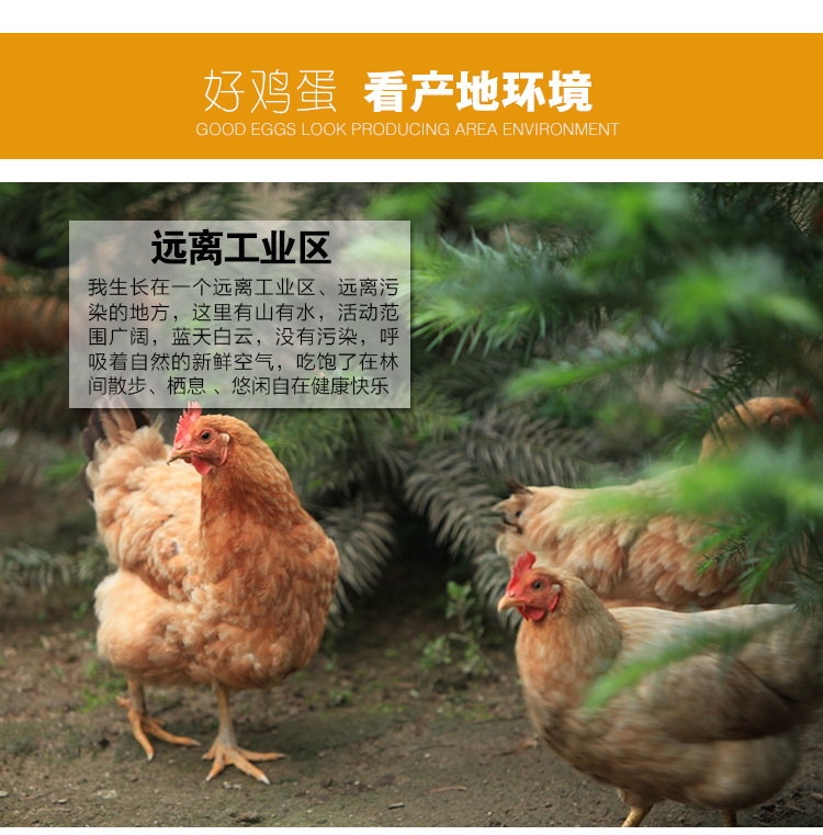 活动环境 (1)1