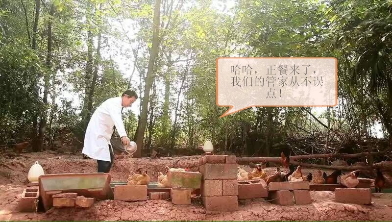 活动环境 (6)