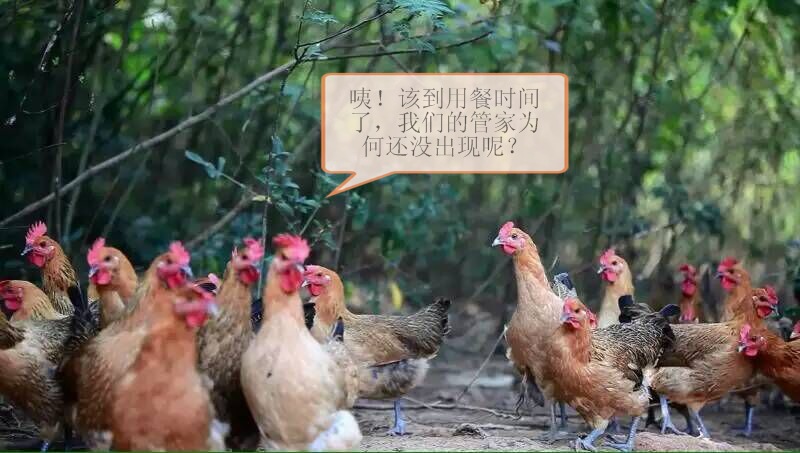 活动环境 (5)