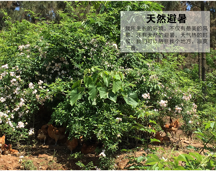 活动环境 (4)