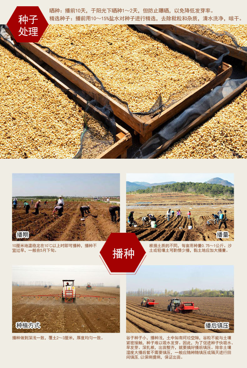 富硒小米详情改_09.jpg