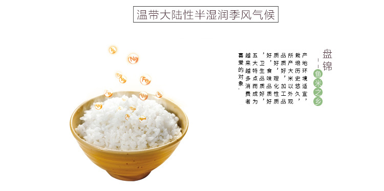 大米详情_10
