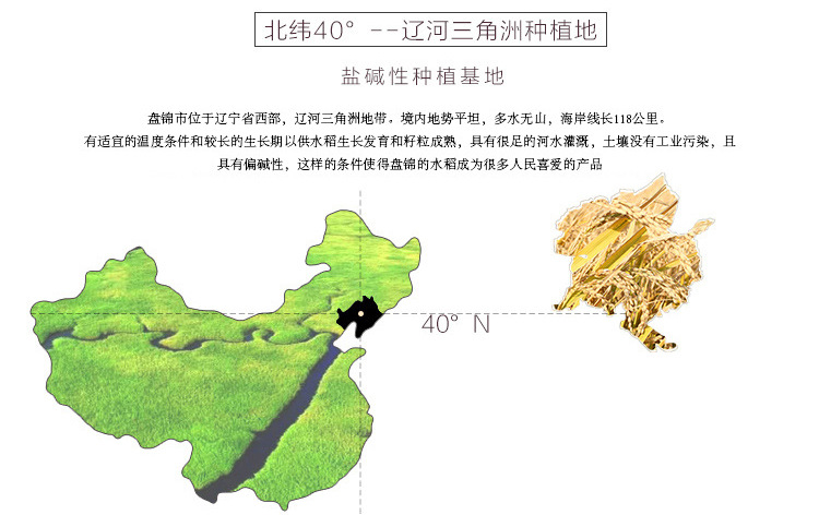 大米详情_05