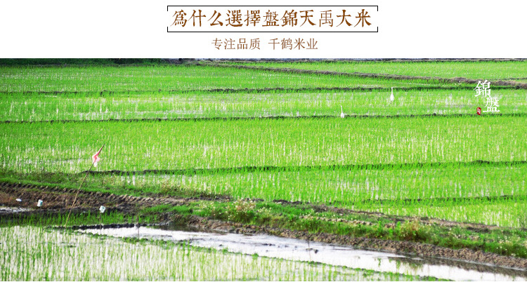 大米详情_12