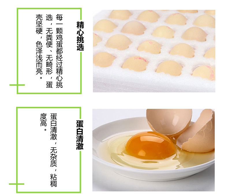 内页1_12