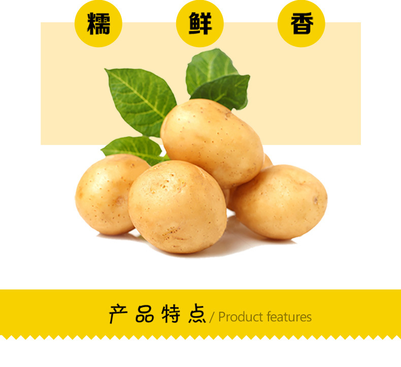 恩施土豆_03