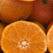 广西富硒砂糖橘源头产地直发支持一件代发批量拿货