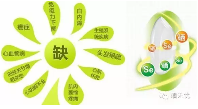 如何科学补硒