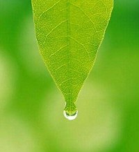 健康总在不经意间流失