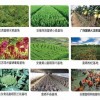 元素农业火热招商-富硒农产品种植