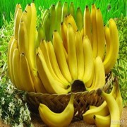 富硒香蕉