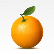 富锗橙子 鲜橙 香橙