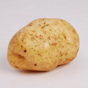 富锗马铃薯 土豆