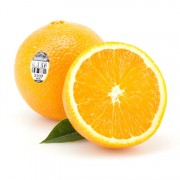 富钼橙子